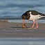 thumbs/IMG_5211.jpg
